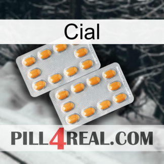 Cial cialis4